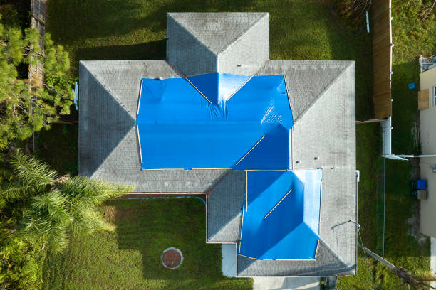 Best Storm Damage Roof Repair  in Beaver, UT